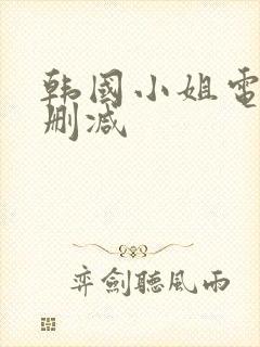韩国小姐电影未删减