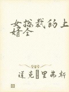 女总裁的上门女婿全