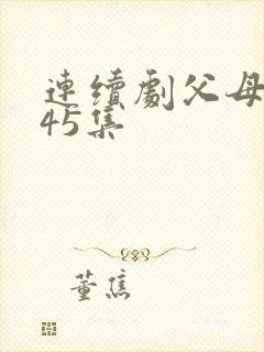 连续剧父母爱情45集封面