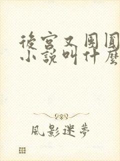 后宫又团圆原著小说叫什么名字