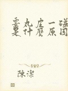 睾丸皮一碰就疼是什么原因