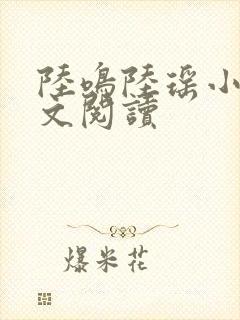 陆鸣陆瑶小说全文阅读封面