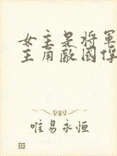 女主是将军被男主角敌国俘虏