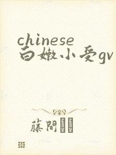 chinese白嫩小受gv