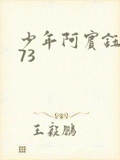 少年阿宾钰慧篇73封面