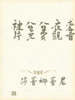 被公公夜袭伦理片免费观看