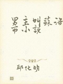 男主叫苏洛的都市小说