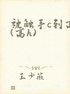 被触手c到高潮(高h)封面