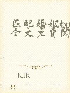 匹配婚姻txt全文免费阅读