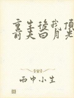 重生后我顶替了前夫白月光完本封面