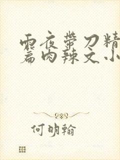 雨夜带刀精品长篇肉辣文小说