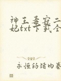 神王毒宠二嫁王妃txt下载全本