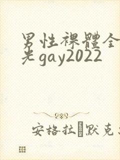 男性裸体全身精光gay2022