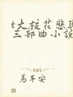 t大校花悲与泪三部曲小说封面