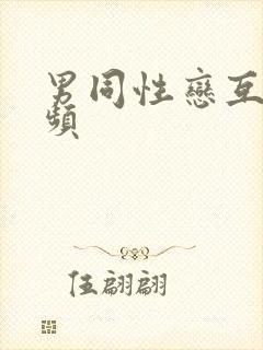 男同性恋互插视频