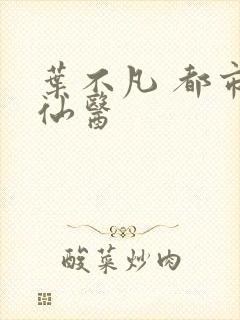 叶不凡 都市古仙医