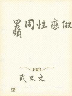 男同性恋做的视频封面