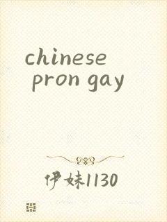 chinese pron gay