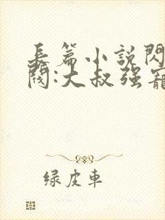 长篇小说闪婚财阀:大叔强宠小娇妻