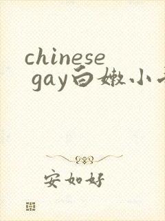 chinese gay白嫩小受