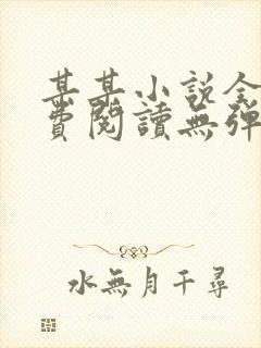 某某小说全文免费阅读无弹窗