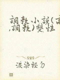 调教小说(高h,调教)双性