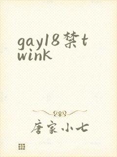 gay18禁twink