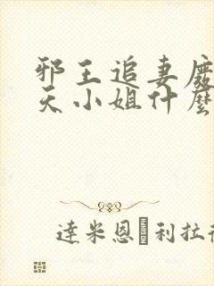 邪王追妻废材逆天小姐什么时候写的