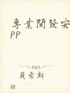 专业开发安卓app