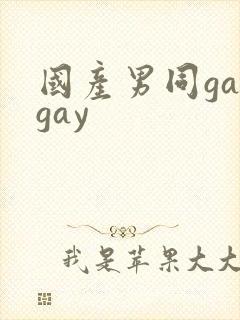 国产男同gaygay