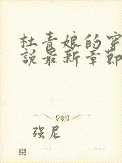 杜青娘的穿越小说最新章节更新