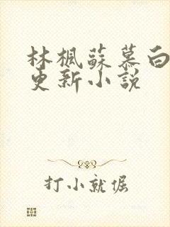 林枫苏慕白最新更新小说