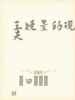 王晓晨的现任丈夫