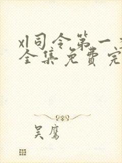 xl司令第一季全集免费完整版