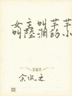 女主叫芊芊男主叫陆渊的小说