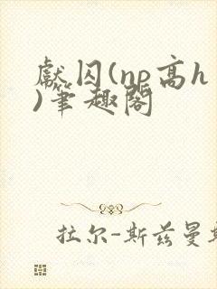 献囚(np高h)笔趣阁