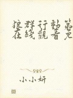 狼群行动第2季在线观看免费高清完整版封面