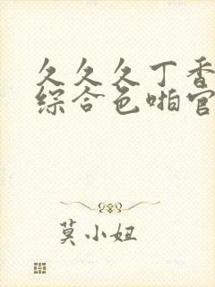 久久久丁香婷婷综合色啪官网