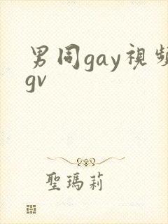 男同gay视频gv