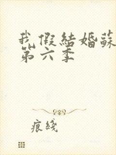 我假结婚苏清月第六季