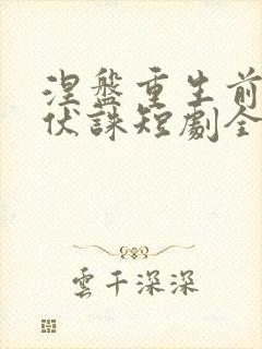涅盘重生前夫请伏诛短剧全集免费观看封面