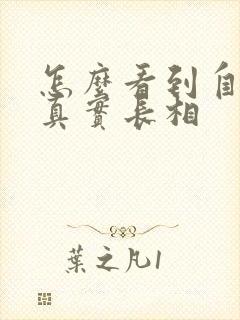 怎么看到自己的真实长相