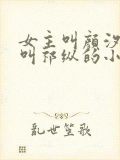 女主叫颜汐男主叫祁纵的小说名字