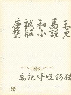 唐诚和马玉婷完整版小说免费阅读封面