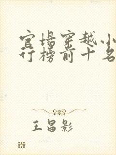 官场穿越小说排行榜前十名封面