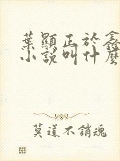 叶显正于鑫原著小说叫什么