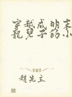 穿越成明末毛文龙儿子的小说