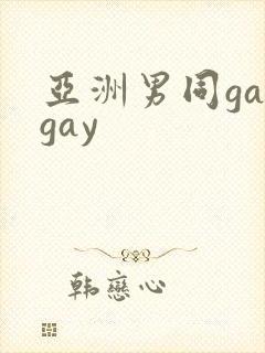 亚洲男同gaygay