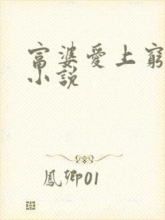 富婆爱上穷小子小说