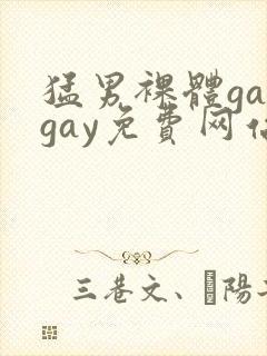 猛男裸体gaygay免费网站